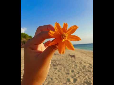 IA TUPU TE ORA ☀️