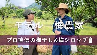 【梅仕事】自然栽培の梅農家直伝!梅シロップ&梅干し