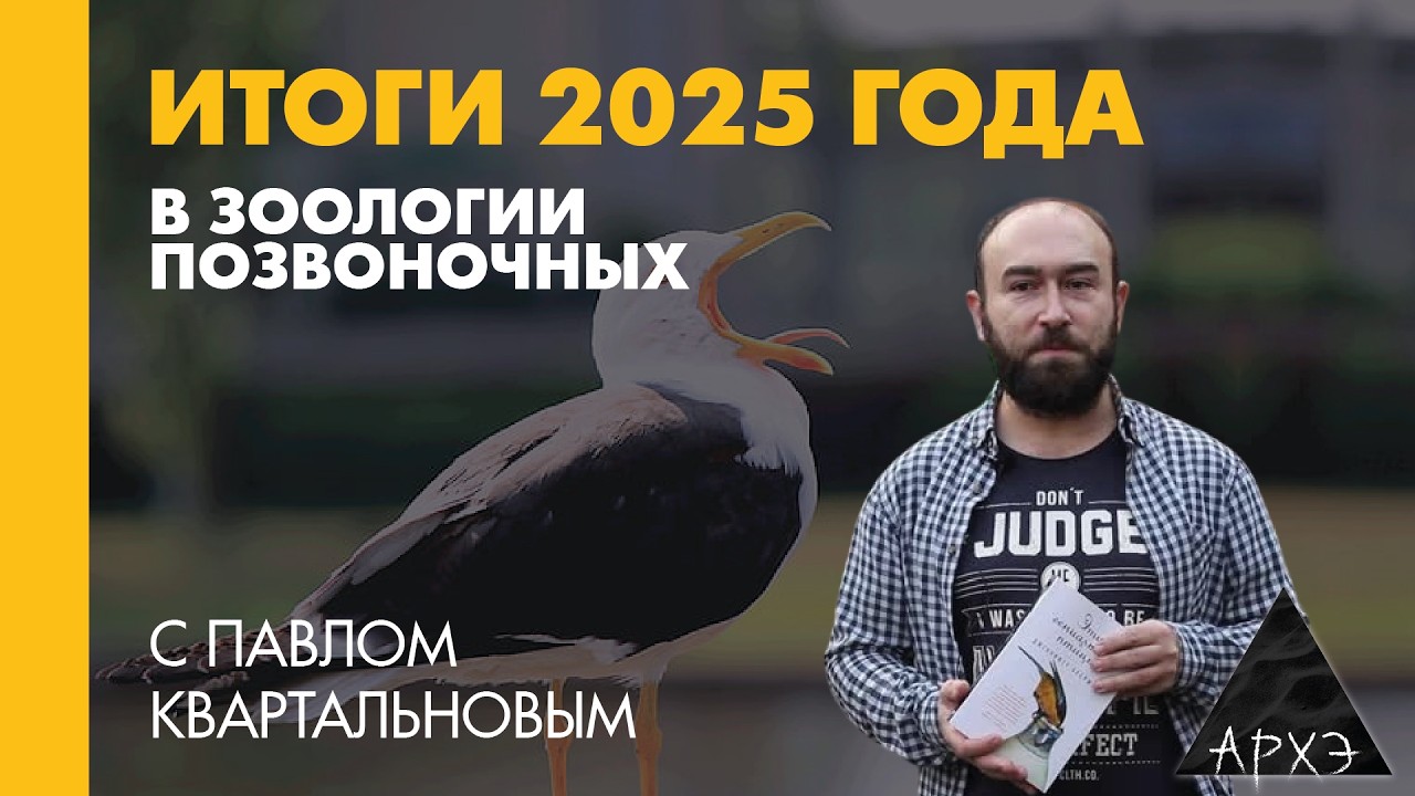 Павел Квартальнов: Итоги 2025 года в зоологии позвоночных