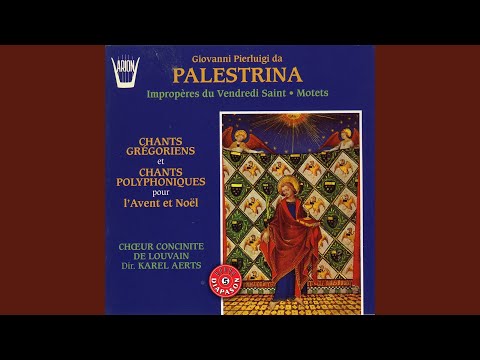 In Nativitate Domini : Ad primam missam in nocte : Alleluia. Dominus dixit