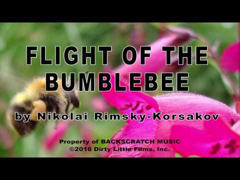 FLIGHT OF THE BUMBLEBEE by Nikolai Rimsky-Korsakov