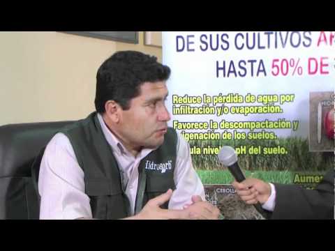 Entrevista Hidrosorb