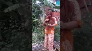 Download lagu #gatot #galfok LIP SYNC  AMBURADUL  Ala Wa ITIK (Lagu Pait Leder_Iche Sonia) mp3