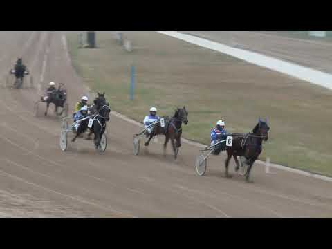 2017.12.26. 2. futam - ELEFÁNT DÍJ