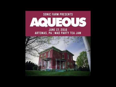 Aqueous LIVE - Mad Tea Party Jam 2016
