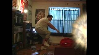 Cover art for AVGN 2011