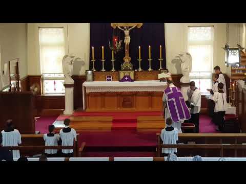 SSPXNZLIVE Livestream - 24 February 2019 High Mass