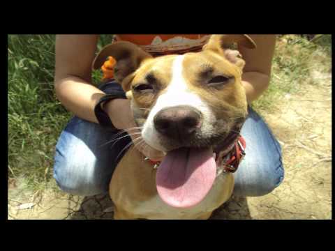 Minatori - Idioti im