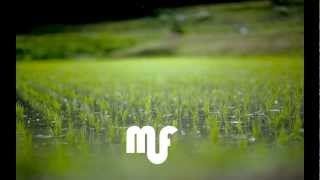 Nite Jewel - &quot;Memory Man&quot;