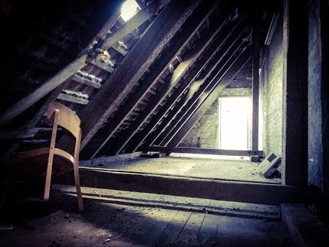 Lost Places: die verlassene Schule in Hamburg