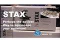 STAX From Two Little Fishies Episode 192