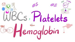 White Blood Cells (WBCs), Platelets (PLTs) and Hemoglobin (Hgb).