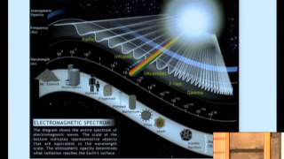 Quantum Beauty | Frank Wilczek