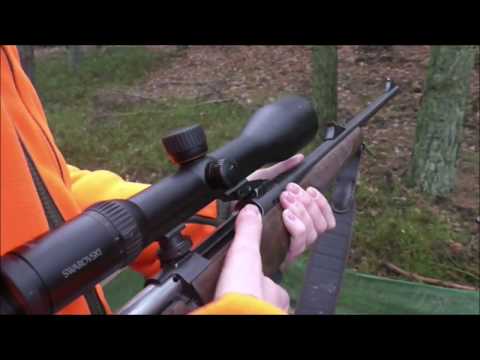 Drückjagd auf Schwarzwild