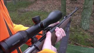 Drückjagd auf Schwarzwild