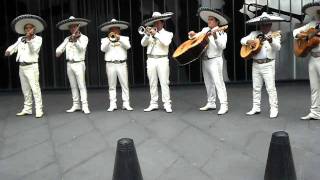 MARIACHIS MI MEXICO