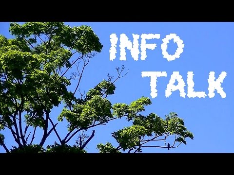 Info-Video ♥ INFO TALK - Kleine Sünden und offensichtliche Geheimnisse (MsHeartilyC|Deutsch|HD)