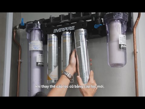 Máy Lọc Nước Pentair Everpure Tại Chuỗi Cửa Hàng Cafe Dutch Colony