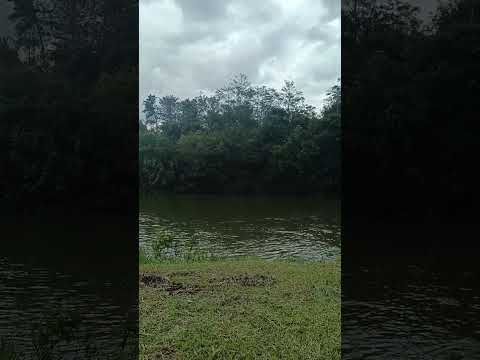 # rio claro nova Ponte #MG