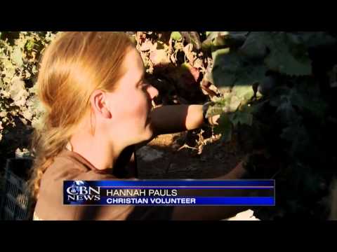 News Channel Morning Edition: Oct. 30, 2013