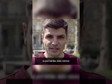 How to teach a dog to recall❓️ #guide #dogtraining #dogtraining #behaviorist #dog #dogschool