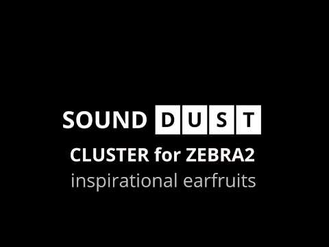 Free Download CLUSTER ZEBRA 2 KONTAKT WAV-DECiBEL