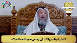 158 - التشبه بالحيوانات في بعض حركات الصلاة - عثمان الخميس