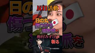 【反日活動🇯🇵】日の丸を傷つける過激派を梅村みずほが斬る #政治 #政治家 #日本 #参政党
