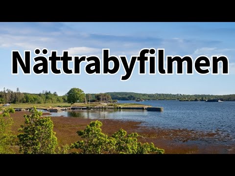 Nättrabyfilmen 🎬🎥🏡