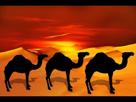 Caravan.....Sax Cover by Wuffy on Eastman-Tenorsaxophone