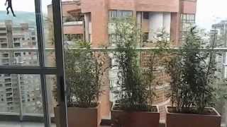 preview picture of video 'Apartamento Árvore. Vende: Trípode Inmobiliaria. VENDIDO'