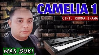 Download lagu ini yang kalian cari -VIRAl 2024 CAMELIA- MAS DUKI-DONAL ELECTONE mp3