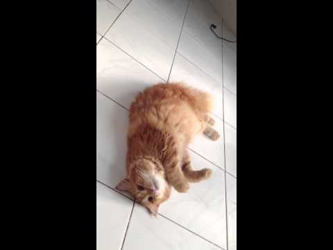 Shiju was lying on the floor