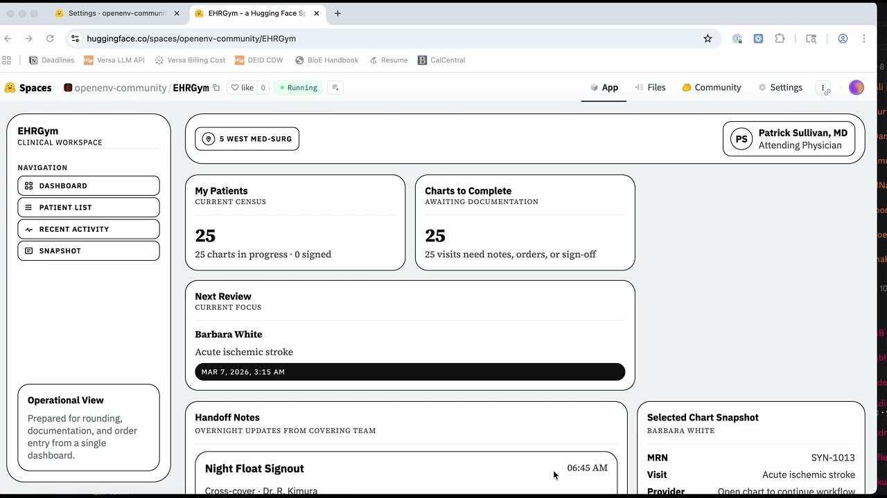EHRGym project preview