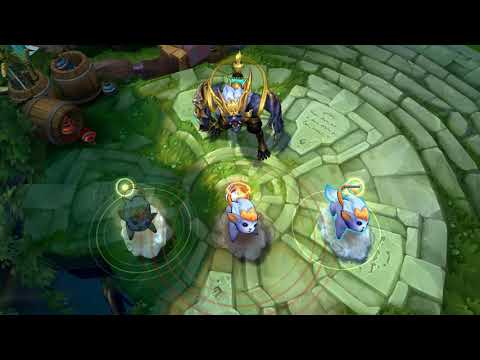 Warwick Puppy Ward Skin Spotlight