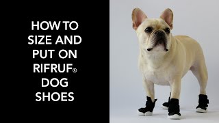 Download lagu How to Size and Put On RIFRUF Dog Shoes mp3