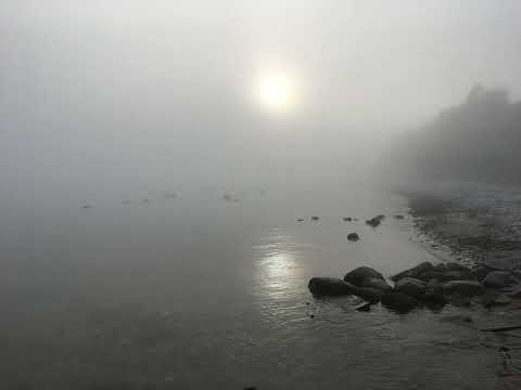 Infodroid - Frie associationer