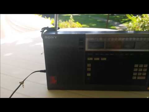 ICF 2001D con cinghia on Ebay