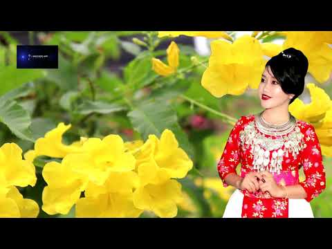 Neeg ruam.karaoke.nkaujnoog hawj 15/10/2019