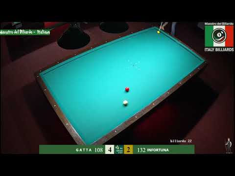 🧭 Gatta vs Infortuna – Parte 3 | Equilibrio sottile e sangue freddo ⚡️