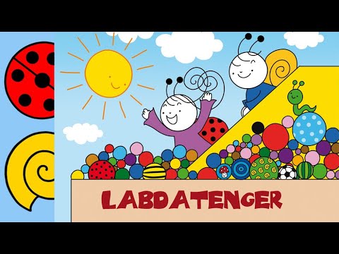 Bartos Erika: Labdatenger