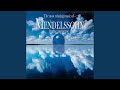 Concert for Violin and Orchestra in E Minor, Op. 64: II. Andante