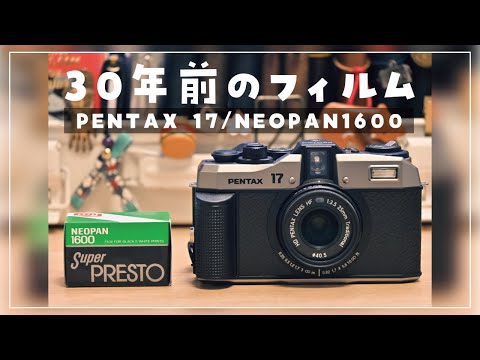 プールのプライバシー スクリーン: 9 つの美しいソリューション トピックス