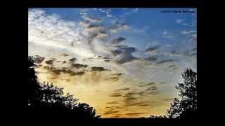 Red Horse - &quot;Scorpion&quot;