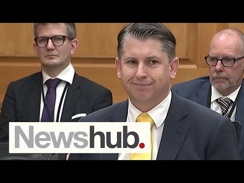 Revealed: Detailed timeline of Michael Wood shares saga as more information comes to light | Newshub