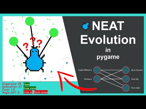 Evolution simulation using NEAT and pygame
