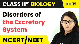 Disorders of the Excretory System | Class 11 Biology/NEET/AIIMS
