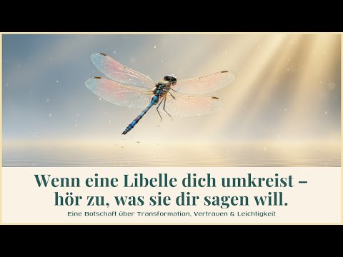 Die Libelle bringt dir eine wichtige Botschaft! Dein persönliches Wachstum. Spirituelle Bedeutung