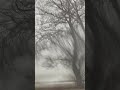 Excepter - Rain Waves (2023 Mom’s Dream Life)
