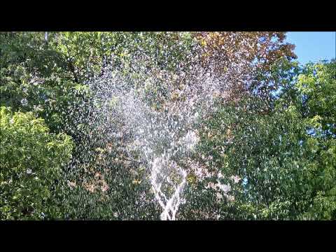 Andrei Petrache (*1998): "Up!" for clarinet, viola and piano (2022)